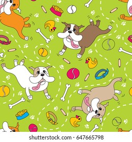 Dog breed the English bulldog happily jumps and plays with various toys, a bowl of food, a bone, a collar, a ball, rubber duck, sausage, dog tracks, dotted, green background