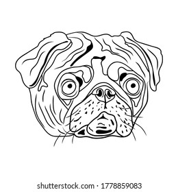 Dog breed with a flat face, pug. Eps10 vector stock illustration