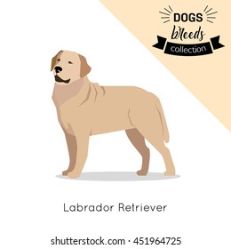 Dog breed flat icon isolated on white background. Vector eps 10 format.