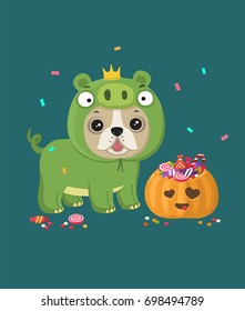 Dog of the breed French bulldog. Puppy is dressed in a Halloween  pig's suit. Nearby there is a festive pumpkin with sweets and candy.