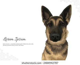 Dog Breed German Shepherd Vector wall decoration ideas. realistic animal images. Hand drawn dog isolated on white background. for room decoration, events, etc