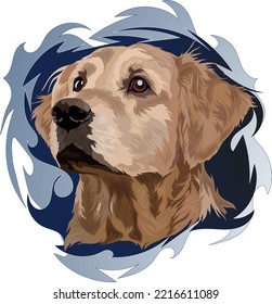 Dog breed, golden labrador retriever, portrait on blue background, vector illustration