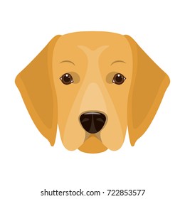 A dog breed, a golden retriever.Muzzle of the Golden Retriever single icon in cartoon style vector symbol stock illustration web.