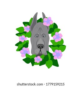 Dog breed Great dane in a beautiful frame with flowers and leaves