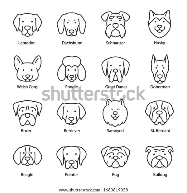 Dog Breed Icon Set Heads Titles Stock Vector (Royalty Free) 1680819058 ...