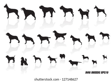 dog breed icons