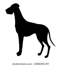 Dog breed illustration. Black silhouette Great Dane.