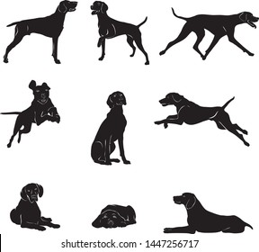 Dog, breed, Kurchaar, various poses, movements and angles of figures, black, silhouette, set, vector, illustration