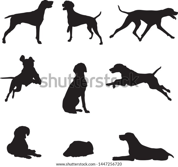 犬 ブリード クルチャール さまざまなポーズ 動きと人物の角度 黒 シルエット セット ベクター画像 イラスト のベクター画像素材 ロイヤリティフリー 1447256720