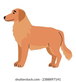 dog breed labrador illustration design