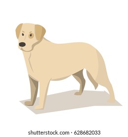 Dog breed Labrador Retriever. Cartoon style, vector.