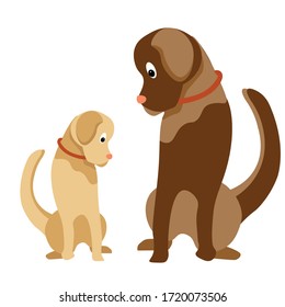Dog breed Labrador. A young and friendly dog. Light color. Sits and looks away. Pets