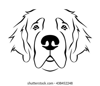 Dog Breed Line Art Logo - Saint Bernard