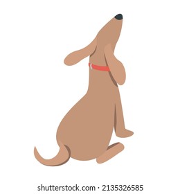 Dog breed with long snout semi flat color vector character. Sitting figure. Full body animal on white. Long-faced dog simple cartoon style illustration for web graphic design and animation