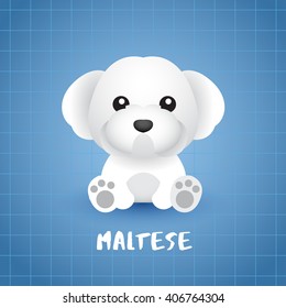 Dog Breed : Maltese : Vector Illustration