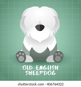 Dog Breed : Old English Sheepdog : Vector Illustration