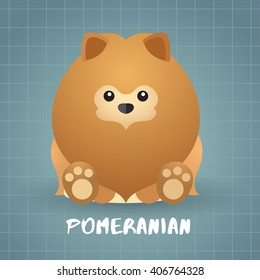 Dog Breed : Pomeranian : Vector Illustration