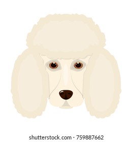 The dog breed is poodle.Muzzle of the poodle single icon in cartoon style bitmap,raster symbol stock illustration web.