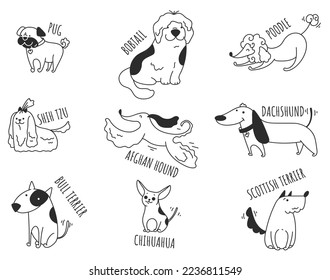 Dog breed puppy line outline doodle art isolated set. Vector flat graphic design element concept illustration