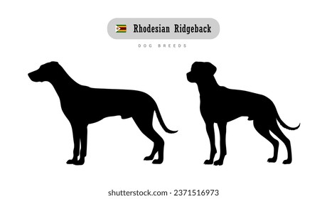 Dog breed Rhodesian Ridgeback. Side and front view silhouettes isolated on white background.