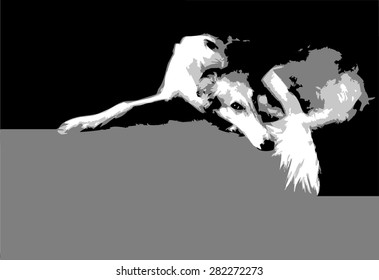 Dog breed the russian borzoi is lying on a grey surface on a black background