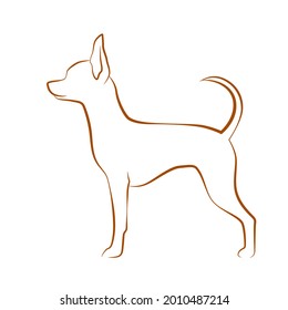 Dog breed - Russian Toy Terrier, line drawing in profile