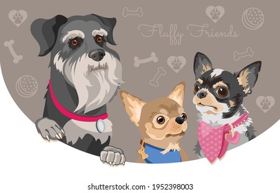 Dog breed Schnauzer and Chihuahua. Pet head. Vector flat illustration.