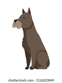 Dog breed schnauzer. Cute funny cartoon domestic pet character flat vector illustration. Human friend home animal