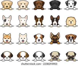 Hunderasse-Set 20 Arten von Hundeportrait, Vektorgrafik-Bild auf weißem Hintergrund