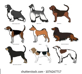 Dog breed set vector illustration