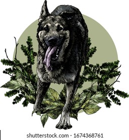 dog breed shepherd runs with his tongue out Bouncing in the air composition decorated with branches and leaves of birch, sketch vector graphics color illustration on a white background