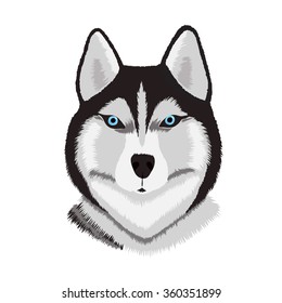 Dog breed: Siberian Husky