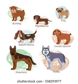 Dog breed silhouette colorful illustration set for web sites, pet care shops or animal designs.