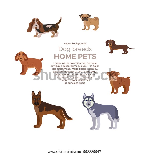 Vector De Stock Libre De Regalías Sobre Dog Breed