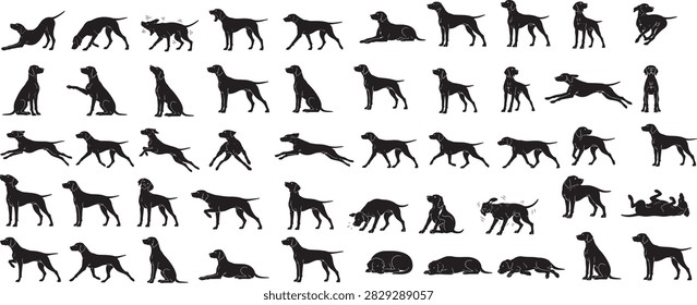 Dog breed silhouette vector collection featuring various breeds in multiple natural poses. Clean black silhouettes with sharp contours, suitable for pet logos, icons, branding, posters, apparel, stickers, packaging, advertising, print and digital design.