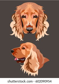 Dog breed spaniel full face and profile