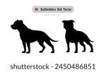 Dog breed Staffordshire Bull Terrier. Side and front view silhouettes isolated on white background.