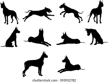 Dog, breed, Dog, vector, graphic, animal, illustration, art, picture