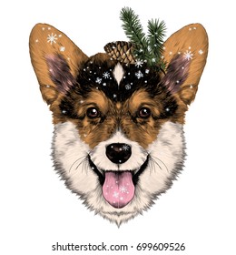 dog breed Welsh Corgi sketch vector graphics color Christmas bump