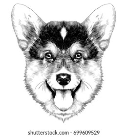 dog breed Welsh Corgi sketch vector graphics monochrome Christmas bump