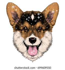 dog breed Welsh Corgi sketch vector graphics color