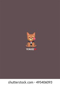 Dog breed Yorkshire Terrier. Romantic Puppy Gentleman dressed in suit and red tie the butterfly. The teeth he holds a rose.