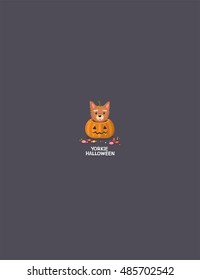 Dog breed Yorkshire terrier sitting in a pumpkin. Pumpkin with carved mug for Halloween. Around scattered sweets.