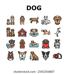 Genética de cría de perros Iconos de pedigrí Vector. salud del temperamento, capacitación en nutrición, socialización, cría de cachorros, linaje de perrera Genética de cría de perros Ilustraciones de línea de color de pedigrí