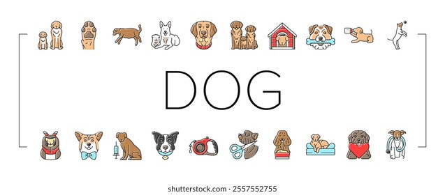 dog breeding genetics pedigree icons set vector. temperament health, nutrition training, socialization whelping, kennel lineage dog breeding genetics pedigree color line illustrations