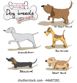 Dog breeds 1