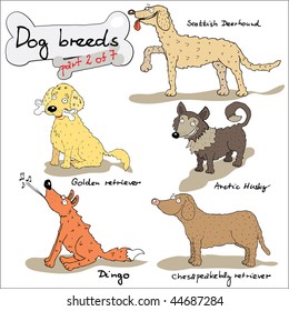 Dog breeds 2