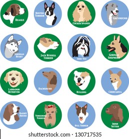 Dog Breeds