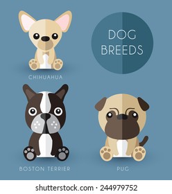 Dog Breeds 