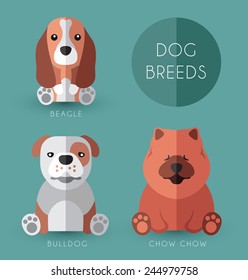 Dog Breeds 